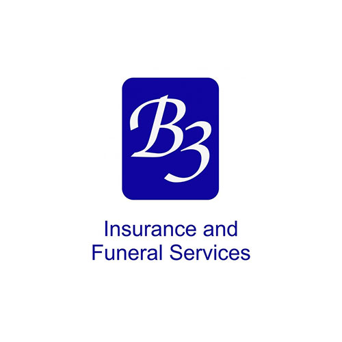 B3 Logo