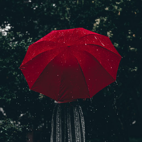 Umbrella